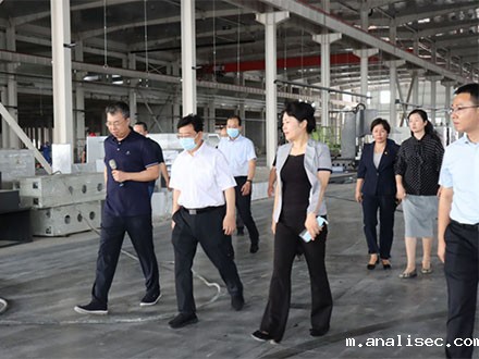 洛阳市长徐衣显一行莅临鸿元轴承新厂项目建设现场考察